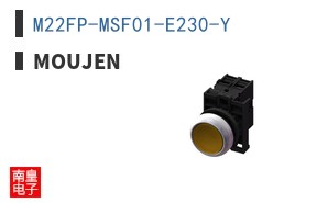 M22FP-MSF01-E230-Y