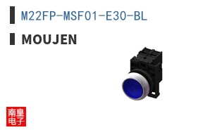 M22FP-MSF01-E30-BL