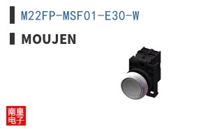 M22FP-MSF01-E30-W