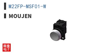 M22FP-MSF01-W