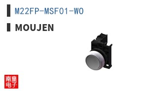 M22FP-MSF01-WO