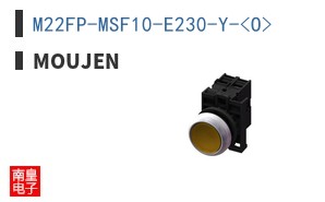 M22FP-MSF10-E230-Y-<O>