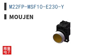 M22FP-MSF10-E230-Y