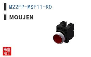 M22FP-MSF11-RO