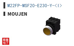 M22FP-MSF20-E230-Y-<I>