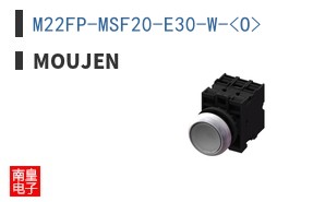 M22FP-MSF20-E30-W-<O>
