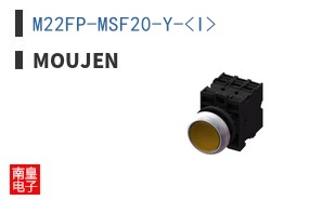 M22FP-MSF20-Y-<I>