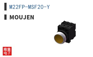 M22FP-MSF20-Y