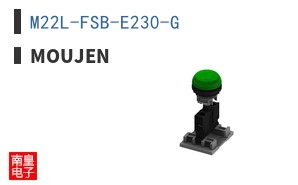 M22L-FSB-E230-G