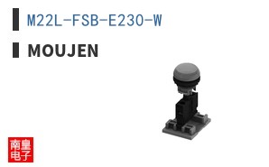 M22L-FSB-E230-W