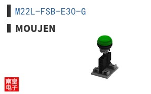 M22L-FSB-E30-G