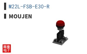 M22L-FSB-E30-R