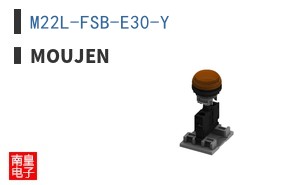 M22L-FSB-E30-Y