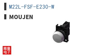 M22L-FSF-E230-W