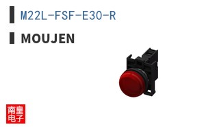 M22L-FSF-E30-R