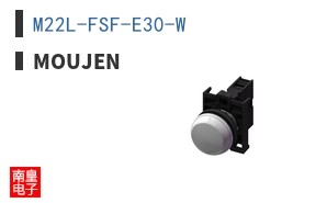 M22L-FSF-E30-W