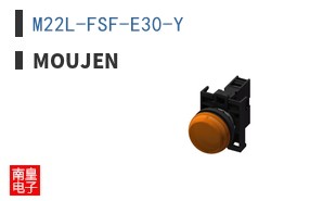 M22L-FSF-E30-Y