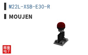 M22L-XSB-E30-R