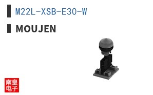 M22L-XSB-E30-W