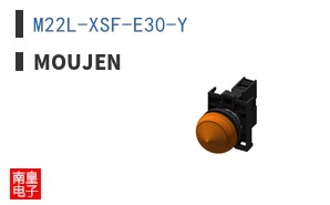 M22L-XSF-E30-Y