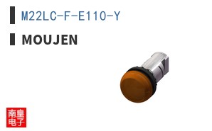 M22LC-F-E110-Y
