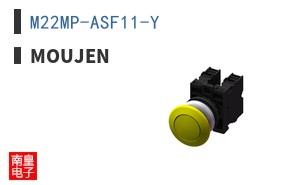 M22MP-ASF11-Y