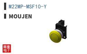 M22MP-MSF10-Y