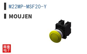 M22MP-MSF20-Y