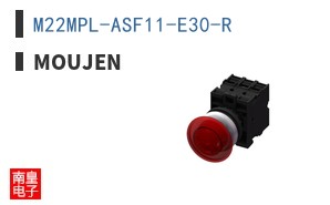 M22MPL-ASF11-E30-R