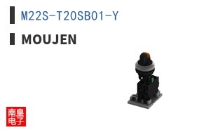 M22S-T20SB01-Y