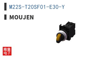 M22S-T20SF01-E30-Y