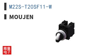 M22S-T20SF11-W
