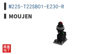 M22S-T22SB01-E230-R