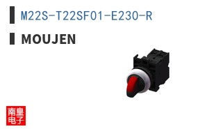 M22S-T22SF01-E230-R