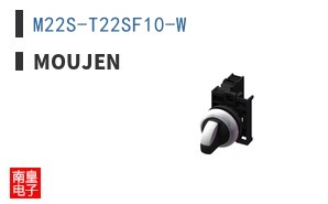 M22S-T22SF10-W