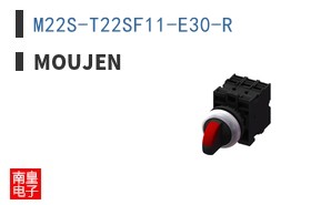 M22S-T22SF11-E30-R