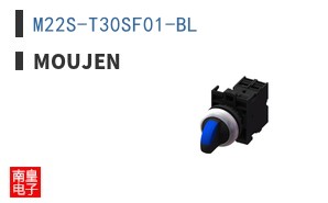 M22S-T30SF01-BL
