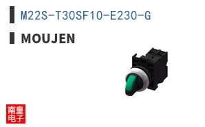 M22S-T30SF10-E230-G