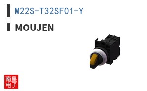 M22S-T32SF01-Y
