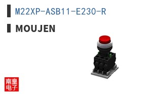 M22XP-ASB11-E230-R