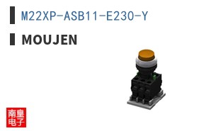 M22XP-ASB11-E230-Y
