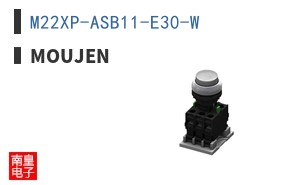 M22XP-ASB11-E30-W