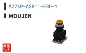 M22XP-ASB11-E30-Y