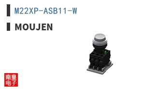 M22XP-ASB11-W