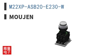 M22XP-ASB20-E230-W