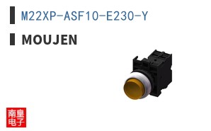 M22XP-ASF10-E230-Y