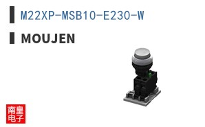 M22XP-MSB10-E230-W