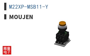 M22XP-MSB11-Y