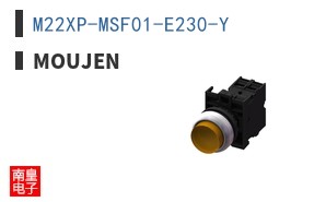 M22XP-MSF01-E230-Y