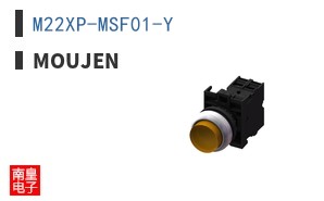 M22XP-MSF01-Y